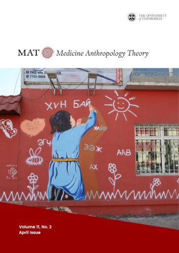 Cover of Medicine Anthropology Theory